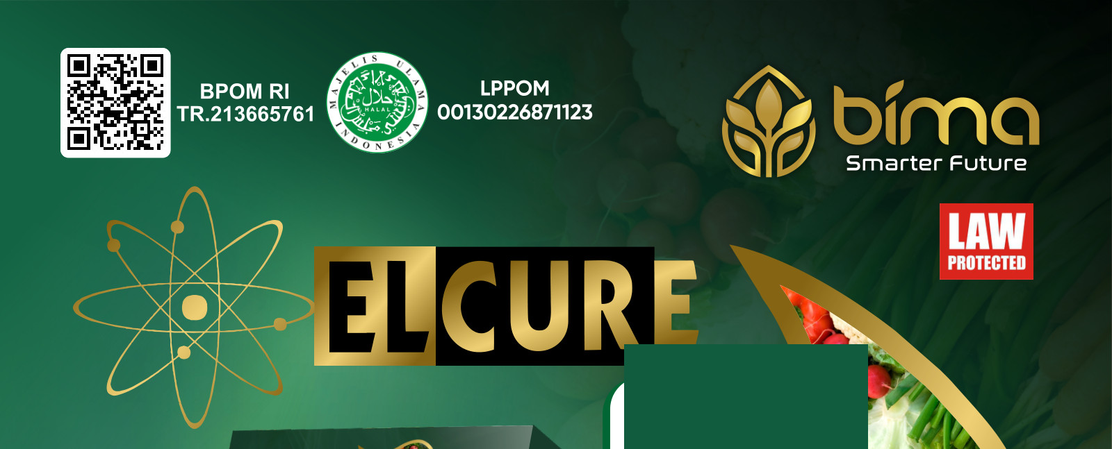 Banner resmi ELCURE